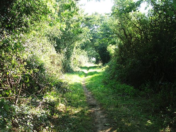 Image, UK, England, Derbyshire, public foot path Greer Lane