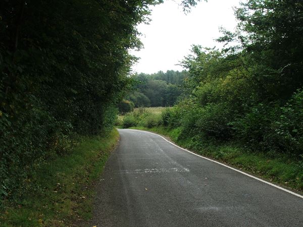 Image, UK, England, Derbyshire, Whaley Road near Scarcliffe Park