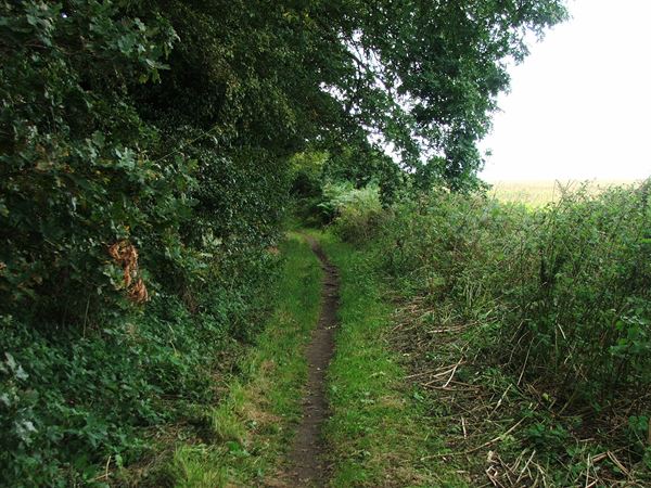 Image, UK, England, Notts, Sandy Lane (Path)