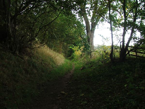 Image, UK, England, Notts, Sandy Lane (Path)